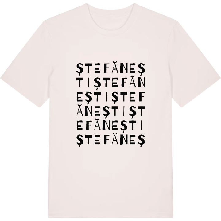 Ștefănești ordlek t-shirt – t-shirt från PinShirt