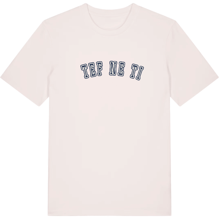 Ștefănești college t-shirt – t-shirt från PinShirt