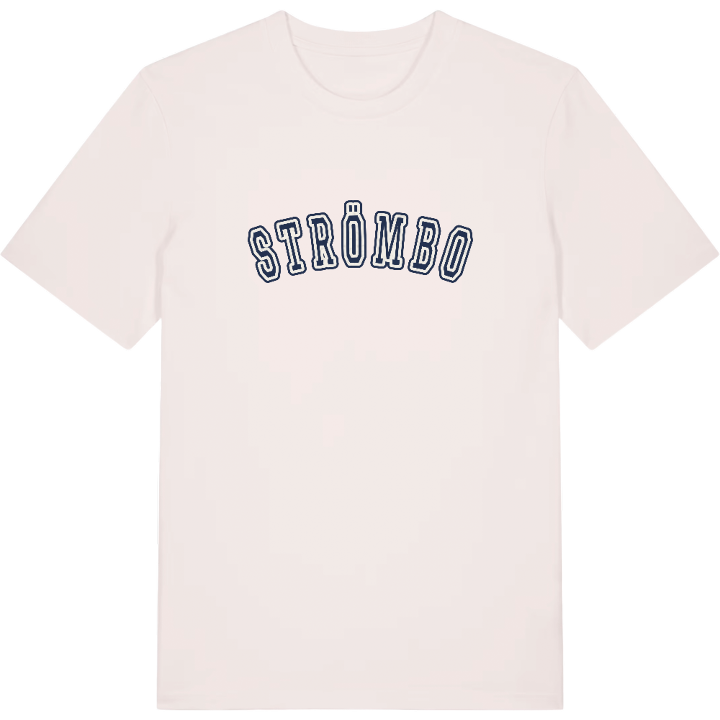 Strömbo college t-shirt – t-shirt från PinShirt