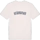 Svämbron college t-shirt