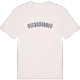 Sylvansborg college t-shirt