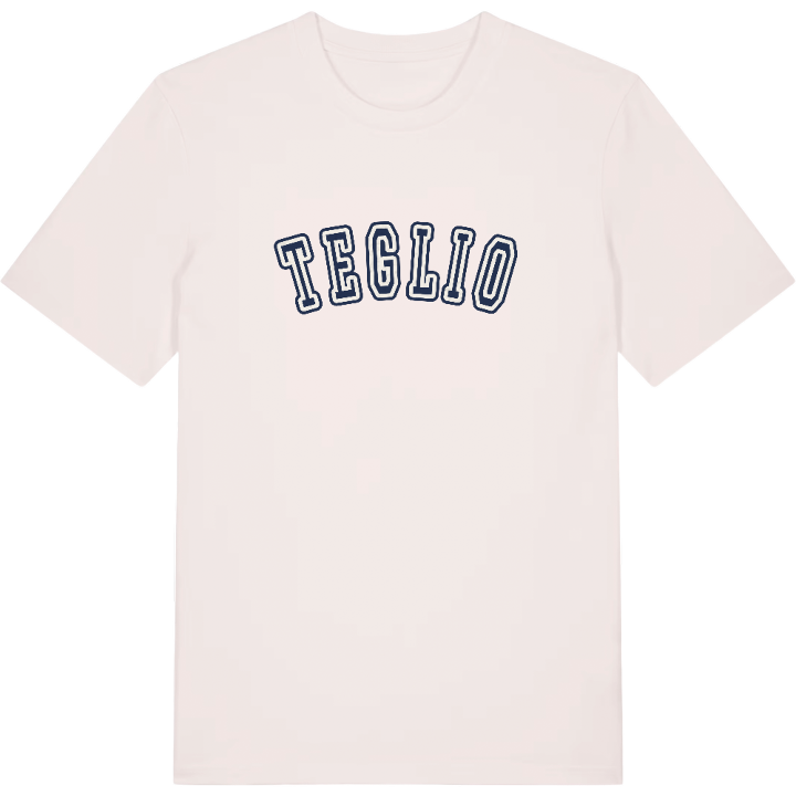Teglio college t-shirt – t-shirt från PinShirt