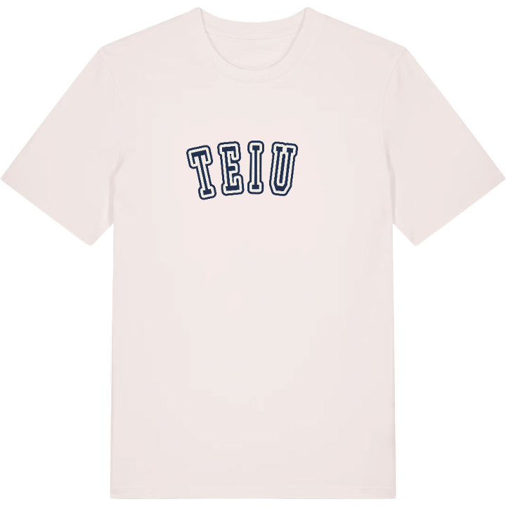 Teiuș college t-shirt – t-shirt från PinShirt