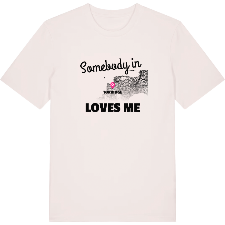 Någon i Torridge älskar mig t-shirt – t-shirt från PinShirt