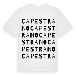 Capestrano ordlek t-shirt – ekologisk bomull t-shirt från Pinshirt