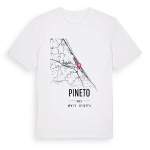 Pineto karta t-shirt – ekologisk bomull t-shirt från Pinshirt