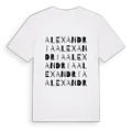 Alexandria ordlek t-shirt
