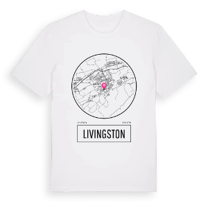 Livingston t-shirt – ekologisk bomull t-shirt från Pinshirt