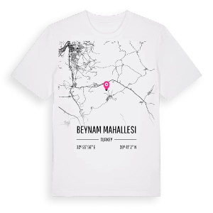 Beynam Mahallesi karta t-shirt – ekologisk bomull t-shirt från Pinshirt