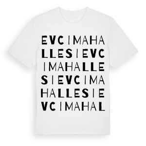 Evci Mahallesi ordlek t-shirt – ekologisk bomull t-shirt från Pinshirt