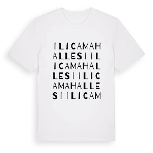 Ilıca Mahallesi ordlek t-shirt – ekologisk bomull t-shirt från Pinshirt