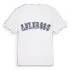 Arlebosc college t-shirt