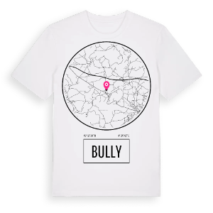 Bully t-shirt – ekologisk bomull t-shirt från Pinshirt