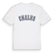 Chalus college t-shirt