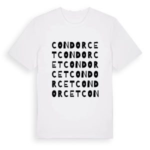 Condorcet ordlek t-shirt – ekologisk bomull t-shirt från Pinshirt