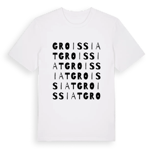 Groissiat ordlek t-shirt – ekologisk bomull t-shirt från Pinshirt