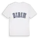 Didim college t-shirt