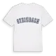 Steinbach college t-shirt