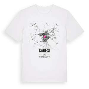 Karesi karta t-shirt – ekologisk bomull t-shirt från Pinshirt