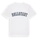 Hollstadt college t-shirt