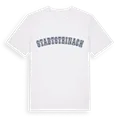 Stadtsteinach college t-shirt