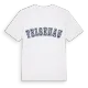 Felsenau college t-shirt