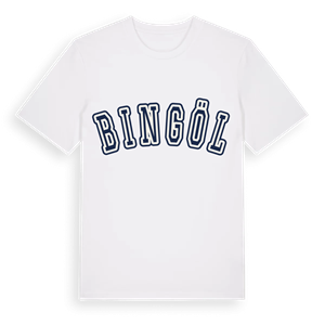 Bingöl college t-shirt – ekologisk bomull t-shirt från Pinshirt
