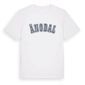 Ängdal college t-shirt – ekologisk bomull t-shirt från Pinshirt