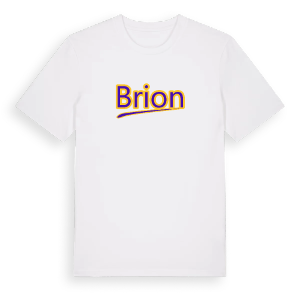 Brion baseball t-shirt – ekologisk bomull t-shirt från Pinshirt