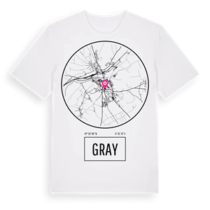 Gray t-shirt – ekologisk bomull t-shirt från Pinshirt