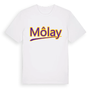 Môlay baseball t-shirt – ekologisk bomull t-shirt från Pinshirt