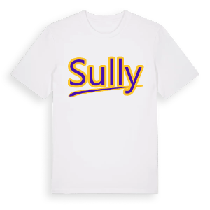 Sully baseball t-shirt – ekologisk bomull t-shirt från Pinshirt