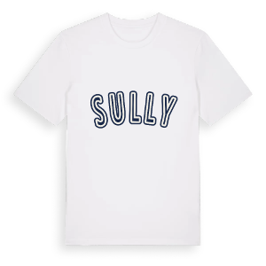 Sully college t-shirt – ekologisk bomull t-shirt från Pinshirt
