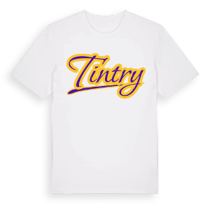 Tintry baseball t-shirt – ekologisk bomull t-shirt från Pinshirt