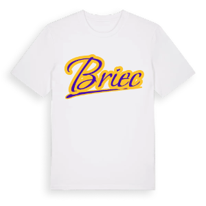 Briec baseball t-shirt – ekologisk bomull t-shirt från Pinshirt