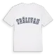 Trélivan college t-shirt