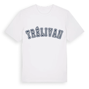Trélivan college t-shirt – ekologisk bomull t-shirt från Pinshirt