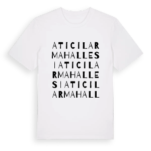 Atıcılar Mahallesi ordlek t-shirt – ekologisk bomull t-shirt från Pinshirt