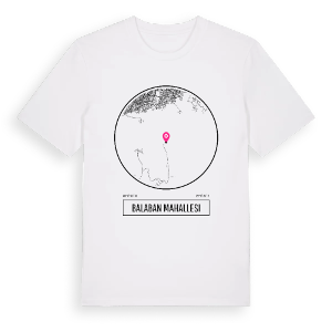 Balaban Mahallesi t-shirt – ekologisk bomull t-shirt från Pinshirt