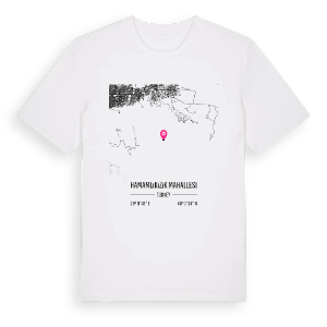 Hamamlıkızık Mahallesi karta t-shirt – ekologisk bomull t-shirt från Pinshirt