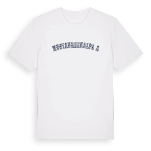 Mustafakemalpaşa college t-shirt – ekologisk bomull t-shirt från Pinshirt