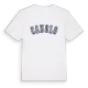 Canolo college t-shirt