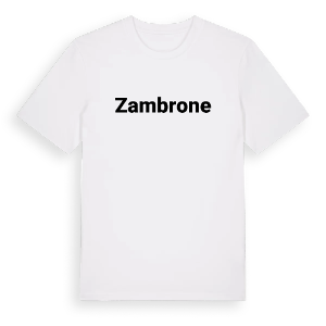 Zambrone fetstil t-shirt – ekologisk bomull t-shirt från Pinshirt