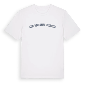 Sant'Arcangelo Trimonte college t-shirt – ekologisk bomull t-shirt från Pinshirt