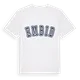 Embid college t-shirt