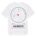 Galinduste t-shirt
