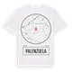Palenzuela t-shirt
