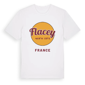 Flacey cirkel t-shirt – ekologisk bomull t-shirt från Pinshirt