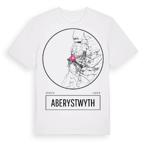 Aberystwyth t-shirt – ekologisk bomull t-shirt från Pinshirt