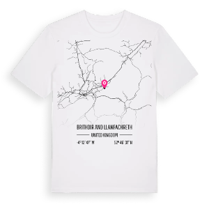 Brithdir and Llanfachreth karta t-shirt – ekologisk bomull t-shirt från Pinshirt